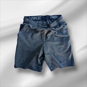 Nike Men's Grey Shorts